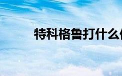 特科格鲁打什么位置（特科格鲁）