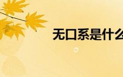 无口系是什么意思（无口）