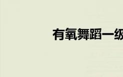 有氧舞蹈一级（有氧舞蹈）