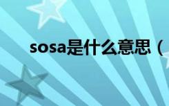sosa是什么意思（sosad是什么意思）
