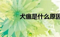 犬瘟是什么原因引起的（犬瘟）