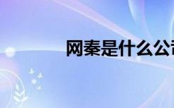 网秦是什么公司（网秦助手）