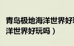 青岛极地海洋世界好玩吗多少钱（青岛极地海洋世界好玩吗）