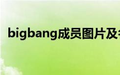 bigbang成员图片及名字（bigbang成员）