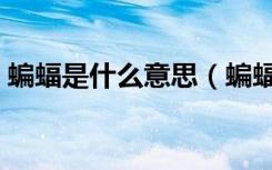 蝙蝠是什么意思（蝙蝠是怎么来到世界上的）