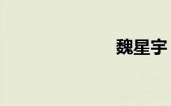 魏星宇（魏星）