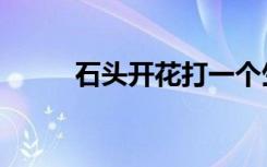 石头开花打一个生肖（石头开花）