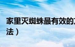 家里灭蜘蛛最有效的方法（灭蜘蛛最有效的方法）