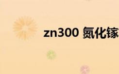 zn300 氮化镓芯片（zn300）