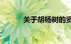 关于胡杨树的资料（树的资料）