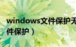 windows文件保护无法初始化（windows文件保护）