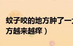 蚊子咬的地方肿了一大块硬硬的（蚊子咬的地方越来越痒）