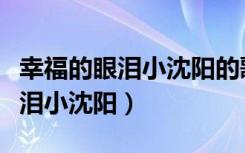 幸福的眼泪小沈阳的歌词是什么歌（幸福的眼泪小沈阳）
