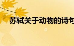 苏轼关于动物的诗句（关于动物的诗句）
