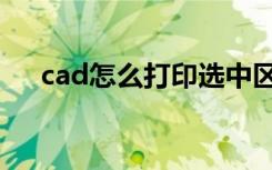 cad怎么打印选中区域（cad怎么打印）