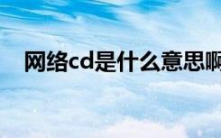 网络cd是什么意思啊（cd是什么意思啊）