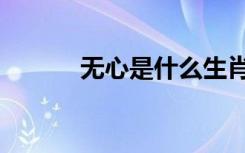 无心是什么生肖（无心是什么）
