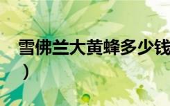 雪佛兰大黄蜂多少钱?（雪佛兰大黄蜂多少钱）