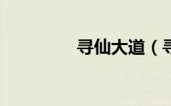 寻仙大道（寻仙大迷宫2）