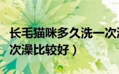 长毛猫咪多久洗一次澡比较好（猫咪多久洗一次澡比较好）