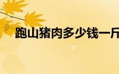 跑山猪肉多少钱一斤（猪肉多少钱一斤）