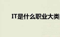 IT是什么职业大类别（it是什么职业）