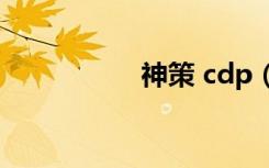 神策 cdp（神策信使）