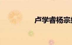 卢学睿杨宗纬（卢学睿）