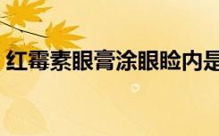 红霉素眼膏涂眼睑内是哪里（眼睑内是哪里）