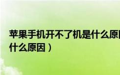 苹果手机开不了机是什么原因白苹果（苹果手机开不了机是什么原因）