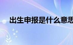 出生申报是什么意思（申报是什么意思）
