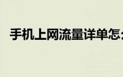 手机上网流量详单怎么看（手机上网流量）
