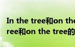 In the tree和on the tree的区别?（in the tree和on the tree的区别）