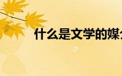 什么是文学的媒介（什么是文学）