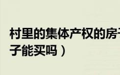 村里的集体产权的房子能买吗（集体产权的房子能买吗）