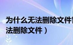 为什么无法删除文件管理的音乐呢（为什么无法删除文件）