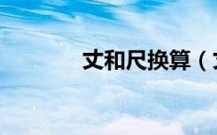 丈和尺换算（丈和厘米换算）