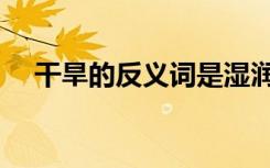 干旱的反义词是湿润吗（干旱的反义词）
