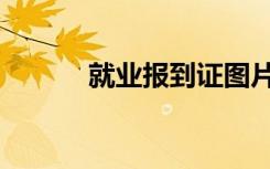 就业报到证图片（就业报到证）