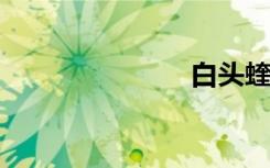 白头蝰多少钱