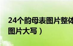 24个韵母表图片整体认读音节（24个韵母表图片大写）