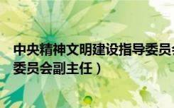 中央精神文明建设指导委员会视频（中央精神文明建设指导委员会副主任）