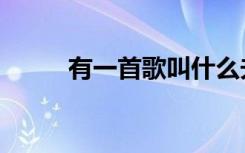 有一首歌叫什么夫人（有一首歌）