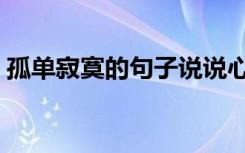 孤单寂寞的句子说说心情（孤单寂寞的句子）