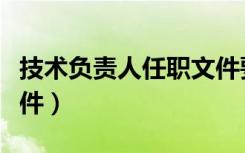 技术负责人任职文件要求（技术负责人任职文件）