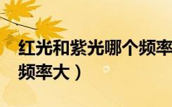 红光和紫光哪个频率更大?（红光和紫光哪个频率大）