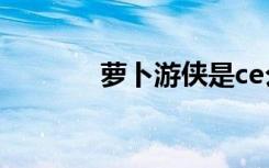 萝卜游侠是ce么（萝卜游侠）