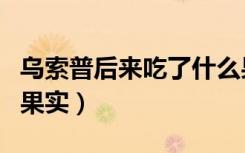 乌索普后来吃了什么果实（乌索普两年后吃了果实）