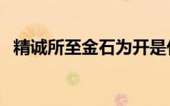 精诚所至金石为开是什么意思（精诚所至）