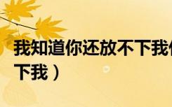 我知道你还放不下我什么歌（我知道你还放不下我）